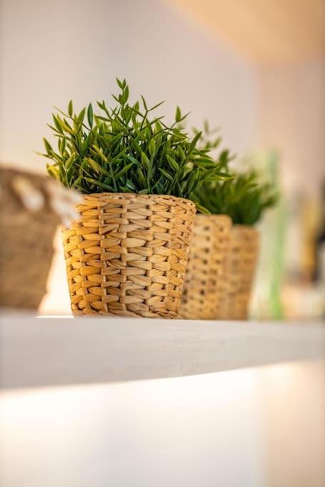 Sunny Terras, Cozy In The Dunes كادزاند المظهر الخارجي الصورة